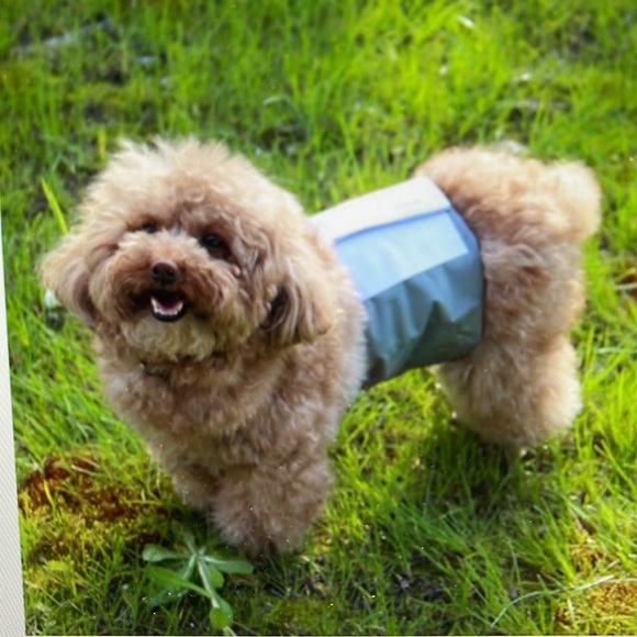 Vecomfy Belly Bands for Male Dogs Diapers Belly Wraps (5 Pack) - Picture 7 of 7